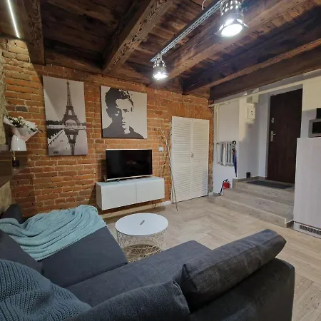 Apartamento Plac Litewski/centrum *