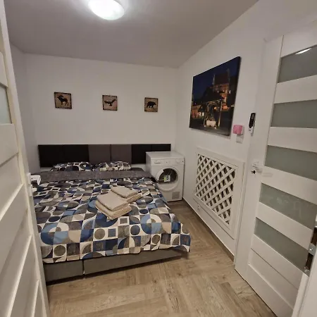 Plac Litewski/centrum Apartment